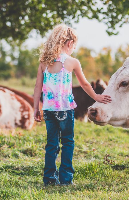 JLD 1D Cow and Child Shorthorn Lingley Livestock